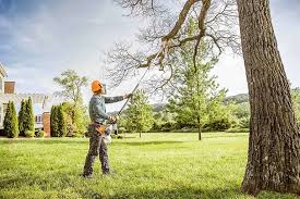  Tilden, NE Tree Removal Services Pros