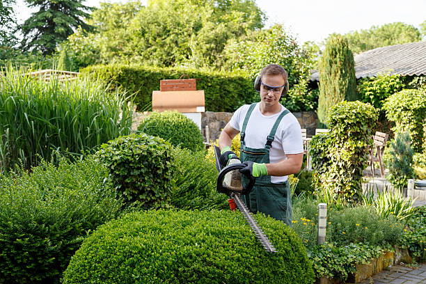 Best Tree Mulching  in Tilden, NE